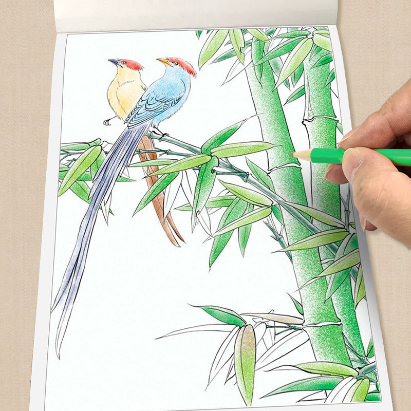 🎨Vendita calda 🖼️ Pittura cinese Bianco disegno album copia