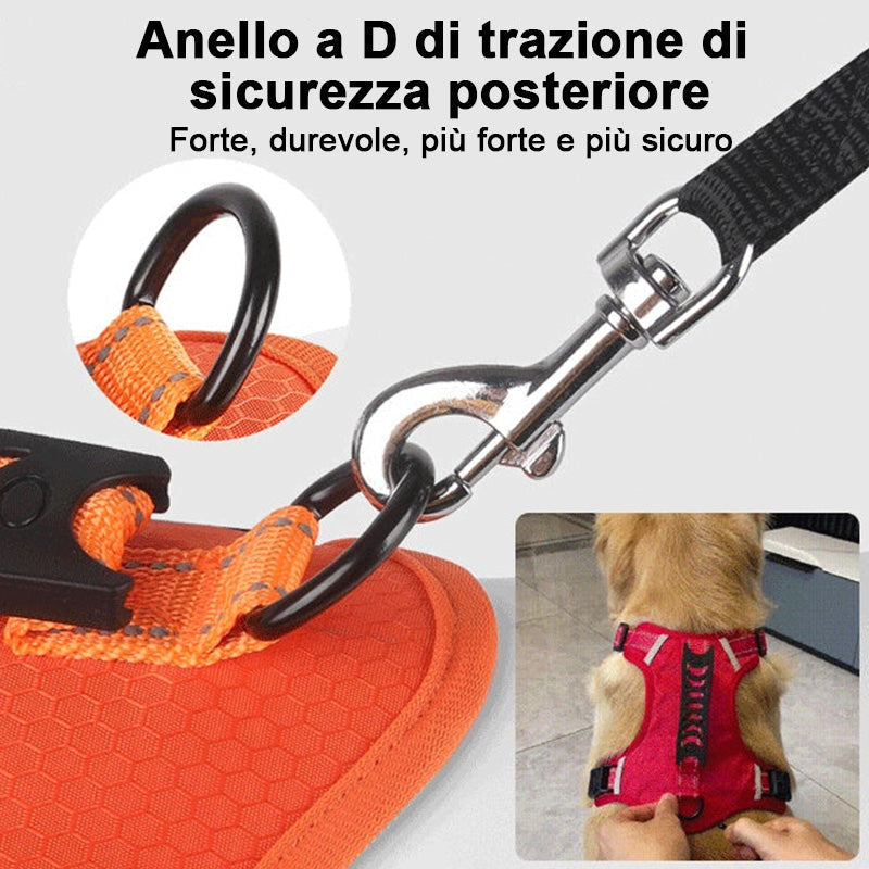 🐕 Tubo flessibile per cani senza tirare per il vostro animale domestico