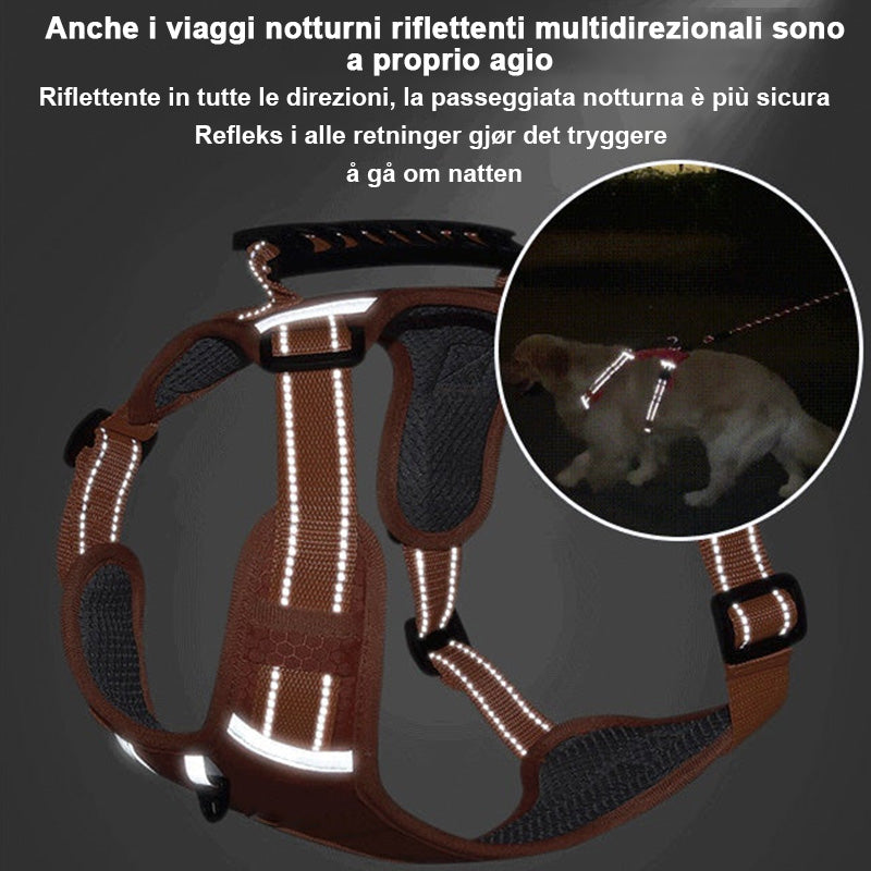 🐕 Tubo flessibile per cani senza tirare per il vostro animale domestico