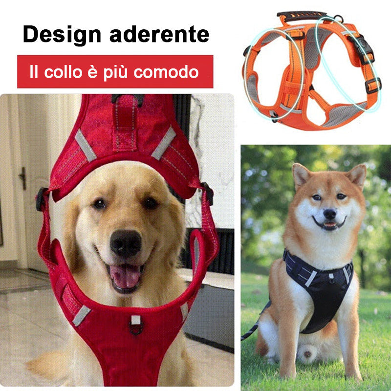 🐕 Tubo flessibile per cani senza tirare per il vostro animale domestico
