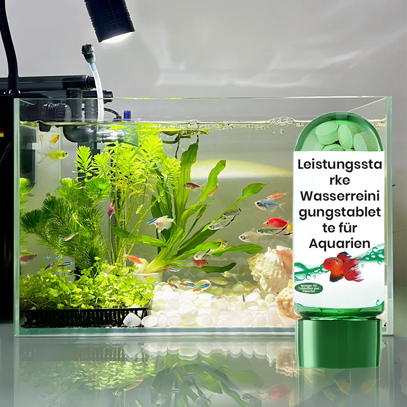 Compresse Potenti per la Purificazione dell'Acqua dell'Acquario