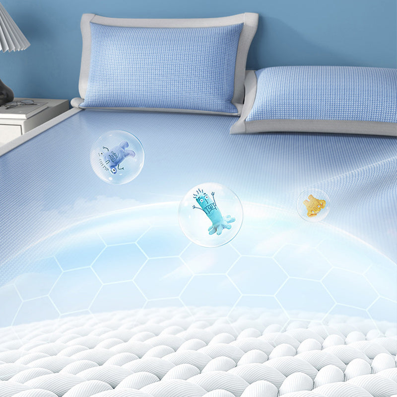 ✨2025 Summer essentials✨Refreshing Antibacterial Washable 3 Piece Bed Mat Set.