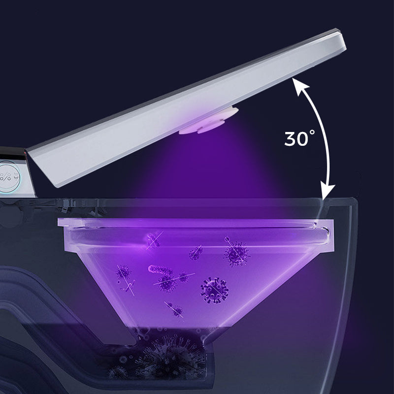 Set di lampade UV per la sterilizzazione del WC