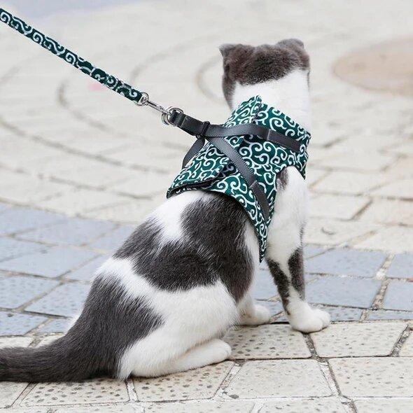 🔥 Pettorina e guinzaglio per gatti, cinghia anti-rottura, abbigliamento per gatti