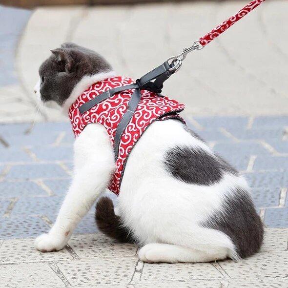 🔥 Pettorina e guinzaglio per gatti, cinghia anti-rottura, abbigliamento per gatti