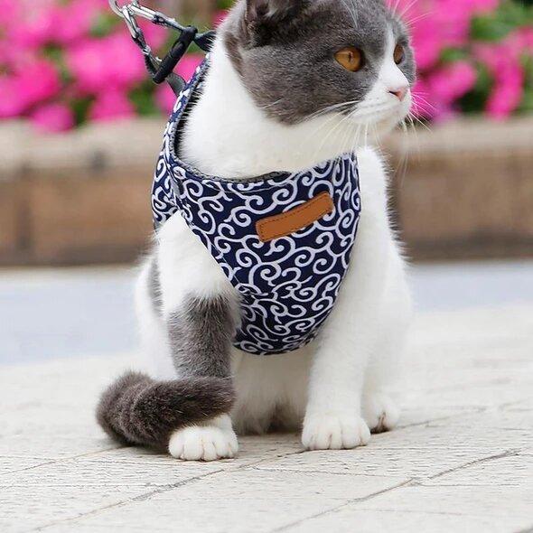🔥 Pettorina e guinzaglio per gatti, cinghia anti-rottura, abbigliamento per gatti