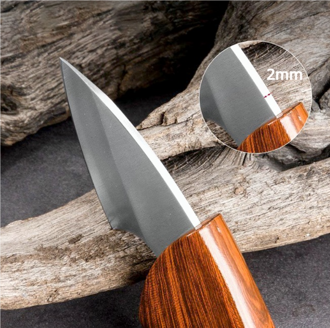 [Regalo creativo] Coltellino da tasca in acciaio inossidabile per frutt
