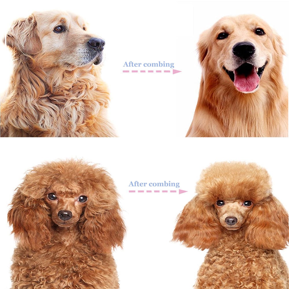 💐50% DE RÉDUCTION🐩Peigne démêlage pour chiens/chats – Poils longs & courts efficace 🌀