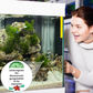 Compresse Potenti per la Purificazione dell'Acqua dell'Acquario