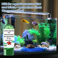 Compresse Potenti per la Purificazione dell'Acqua dell'Acquario