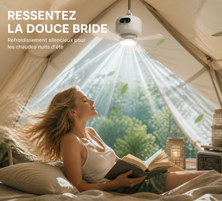 🏭 Direct usine 🚀 Livraison à domicile💨Ventilateur de plafond portable 2-en-1 (avec éclairage LED)