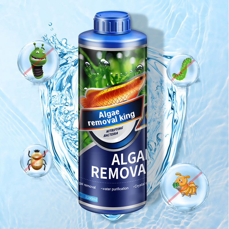 【Re delle alghe】Rimuovi alghe acquatico pazzo