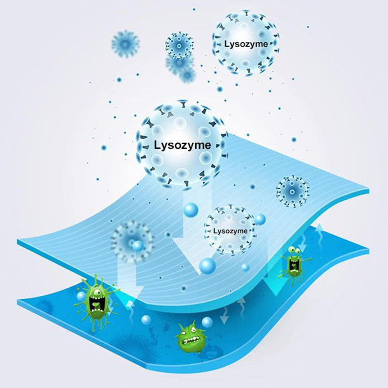 Gel Universale per la Rimozione e la Prevenzione di Muffa e Mildew