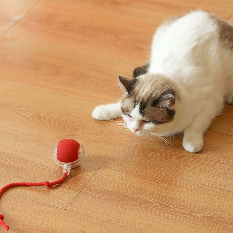 Palla intelligente automatica per animali domestici