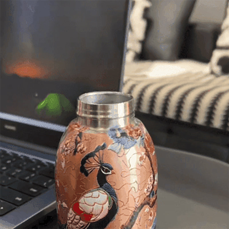 Bottiglia d'Acqua Isolata Elegante e Portatile