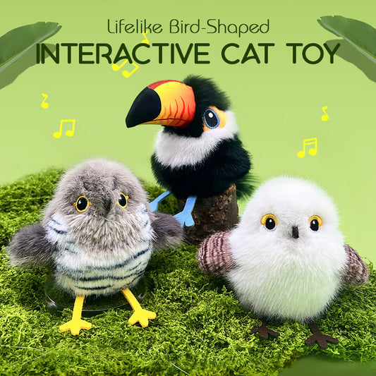 🎁🐱Jouet interactif pour chat en forme d'oiseau réaliste