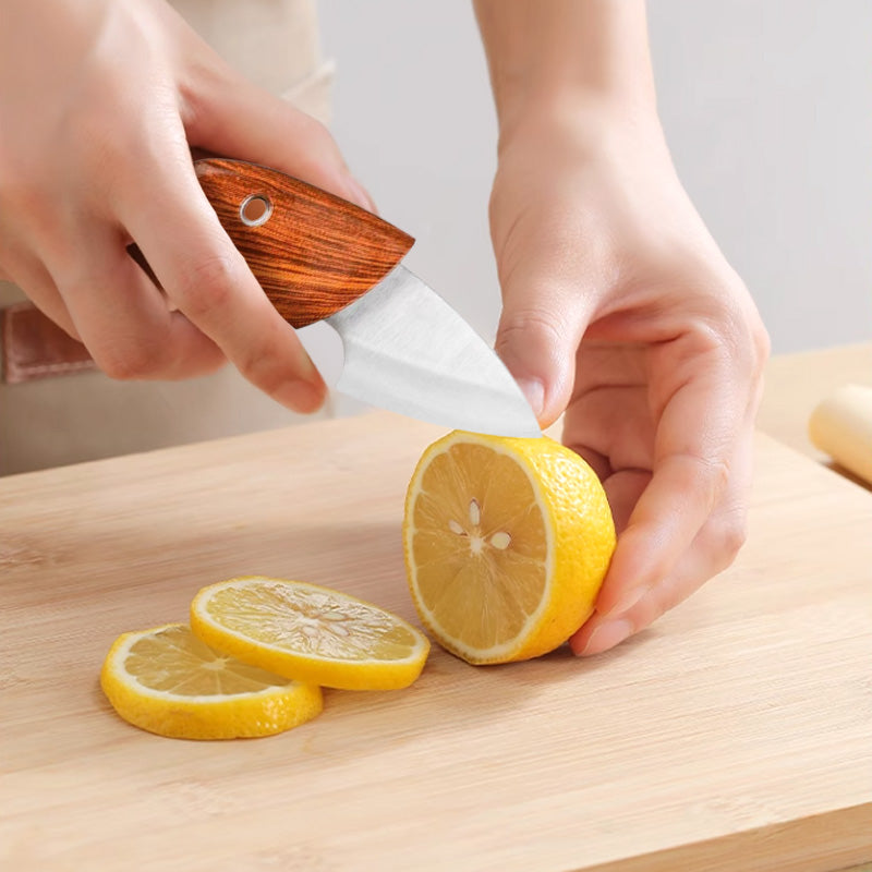 [Regalo creativo] Coltellino da tasca in acciaio inossidabile per frutt