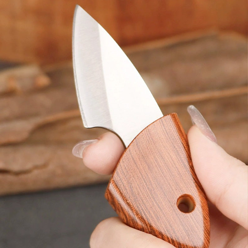 [Regalo creativo] Coltellino da tasca in acciaio inossidabile per frutt