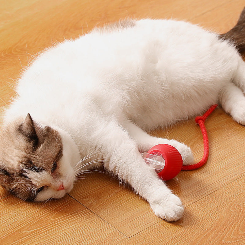 🔥Boule Roulante Automatique Intelligente pour Animaux de Compagnie