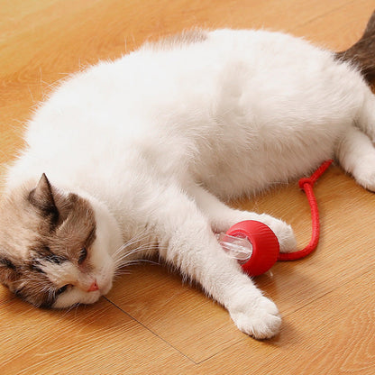 🔥Boule Roulante Automatique Intelligente pour Animaux de Compagnie