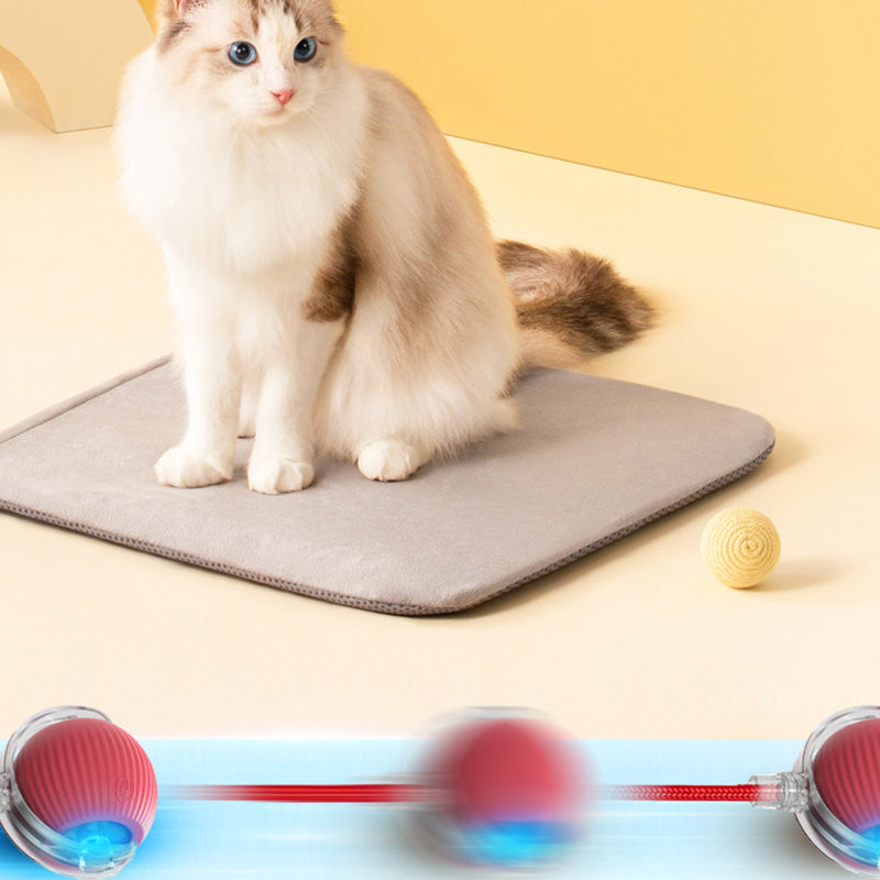 🔥Boule Roulante Automatique Intelligente pour Animaux de Compagnie