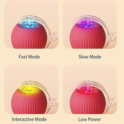 🔥Boule Roulante Automatique Intelligente pour Animaux de Compagnie
