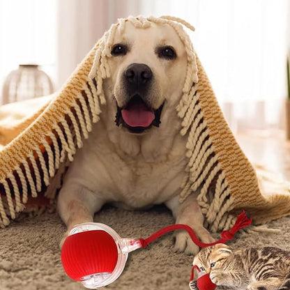 🔥Boule Roulante Automatique Intelligente pour Animaux de Compagnie