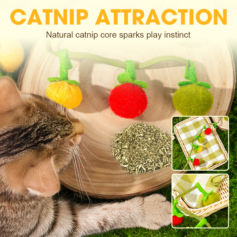 🐱💥Ficelle de jeu en forme de fruit pour fatiguer votre chat naturellement
