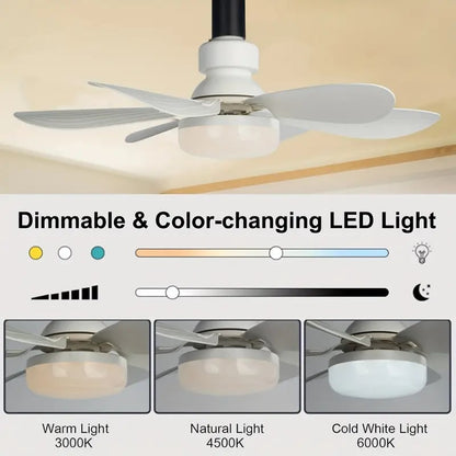 💨 50% DE RÉDUCTION! 💡 Ventilateur de Plafond Portable 2-en-1 avec Télécommande – Compact, Réglable & Idéal Pour La Chambre, Le Bureau & Les Voyages 🏠