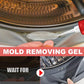 Gel per la rimozione del muffa domestico