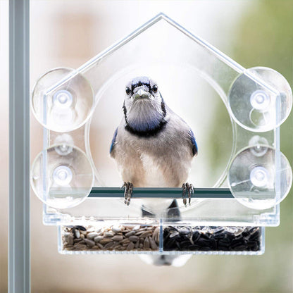 🔥 Alimentatore per uccelli da finestra in acrilico trasparente🐦